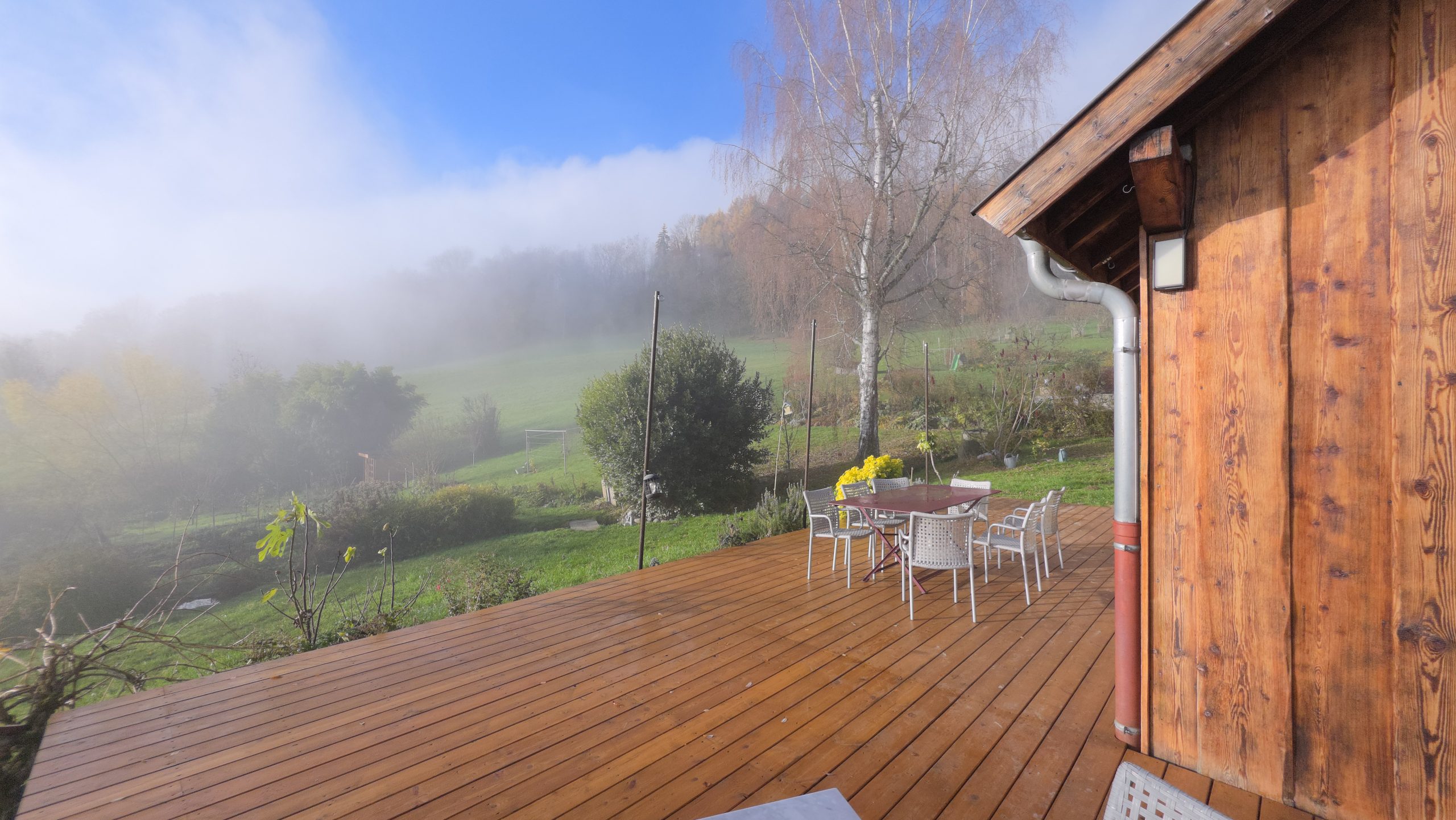 20251119_092707 terrasse