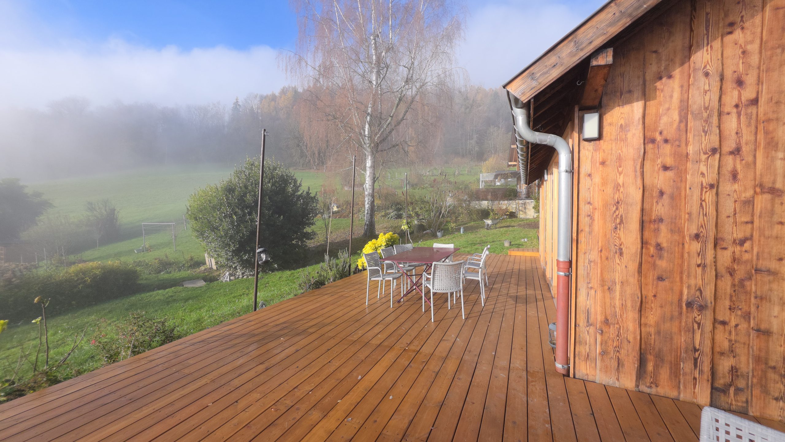 20251119_092713 terrasse