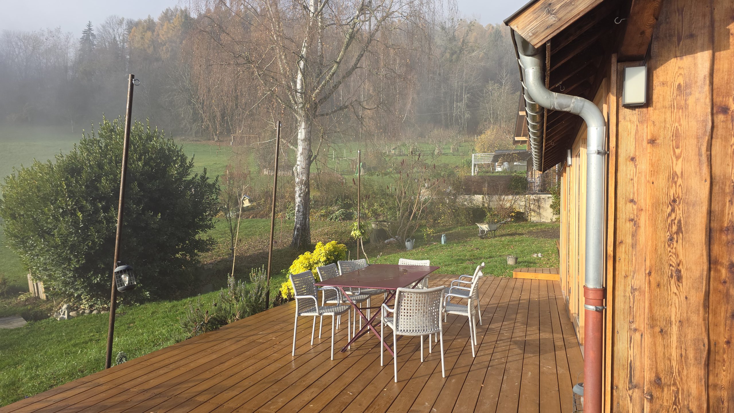 20251119_092717 terrasse